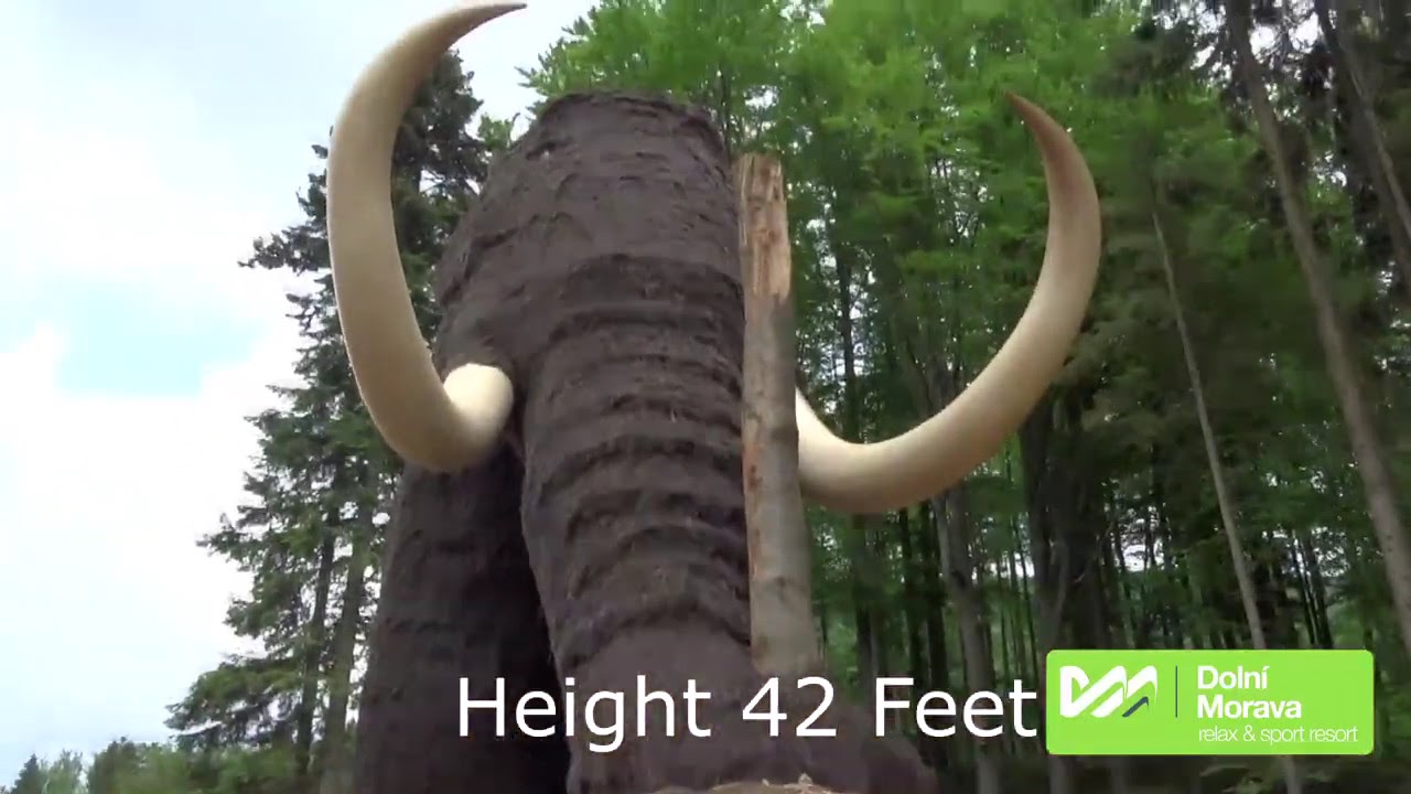 This must see theme park has a Woolly Mammoth