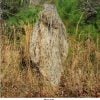 ultralight-poncho-4