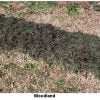 ghillie-blanket-46-1