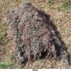ghillie-blanket-46