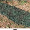 ghillie-blanket-46-2