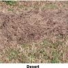 ghillie-blanket-46-4