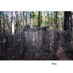 Ghillie Blind Cover 30" x 9'