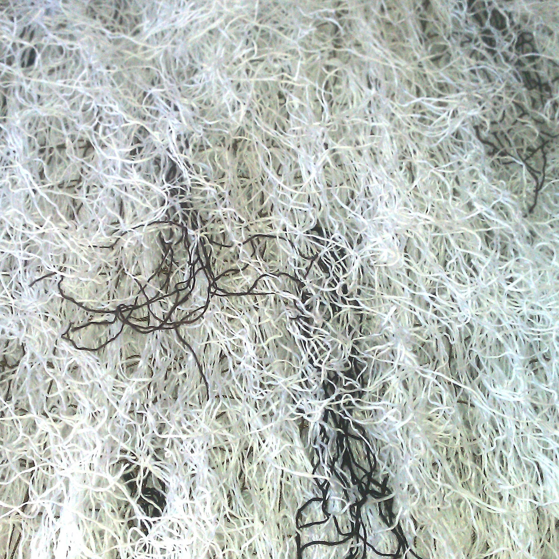 Winter White