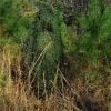 Ultralight Ghillie Poncho - Thumbnail Image 4