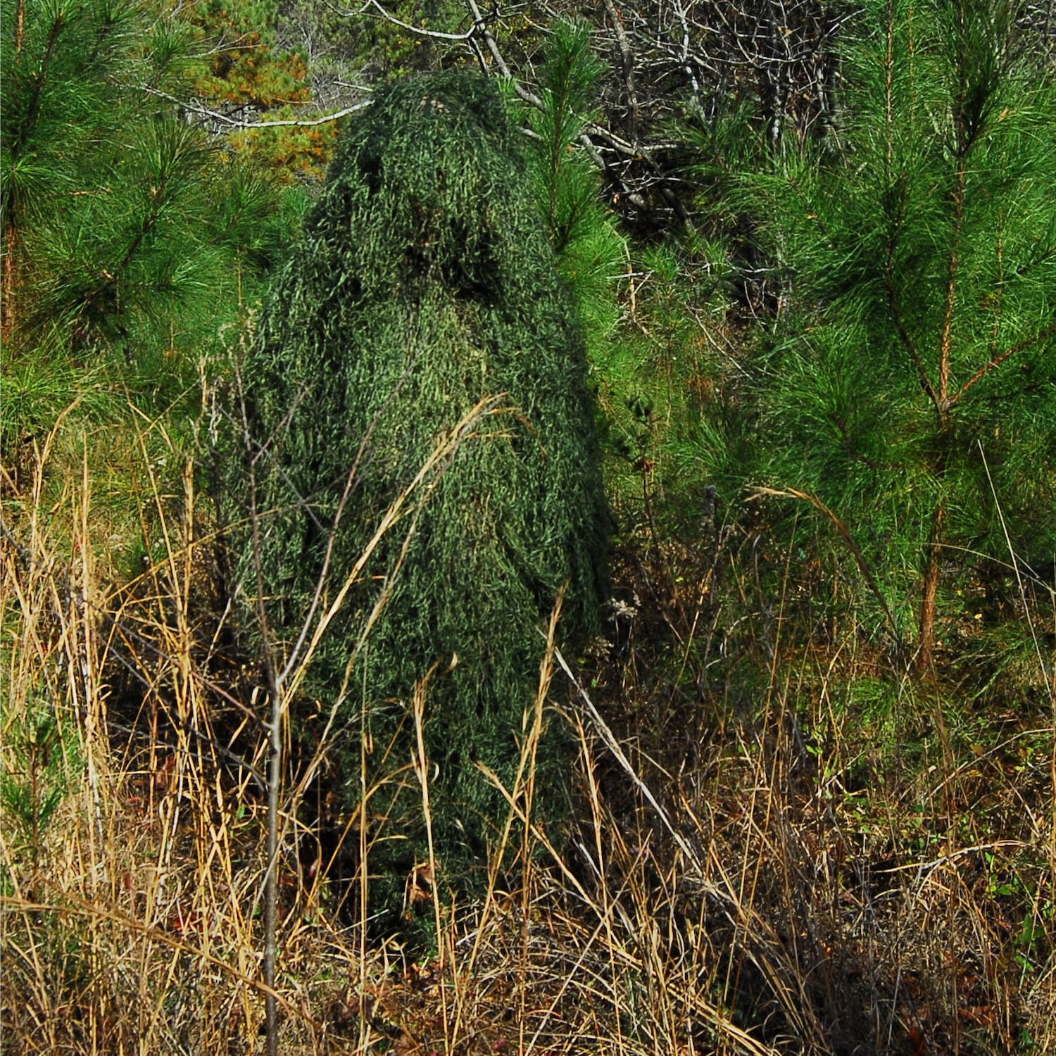 Ultralight Ghillie Poncho - Image 4